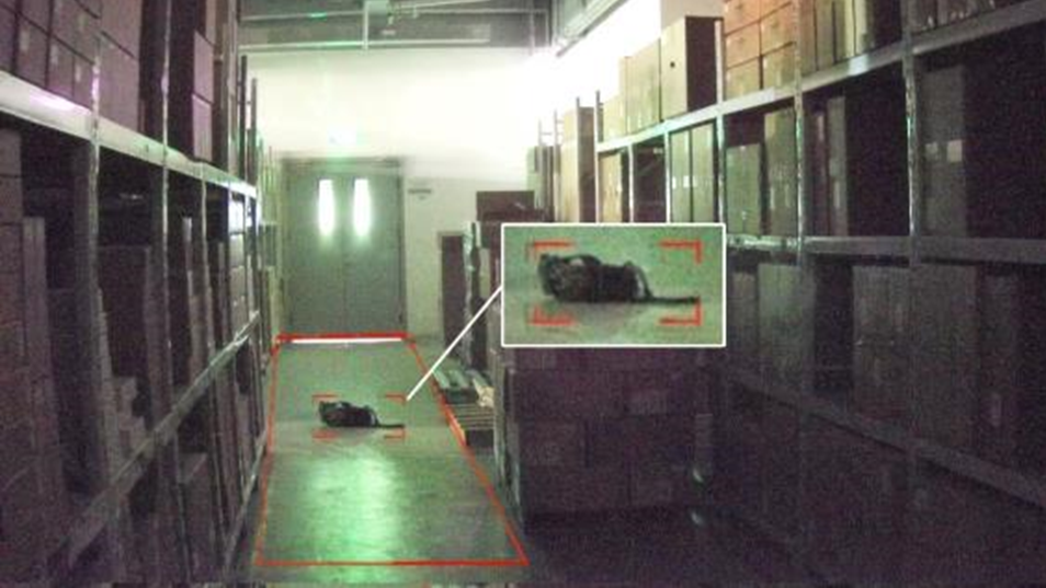 AG旗舰厅(中国游)官方网站