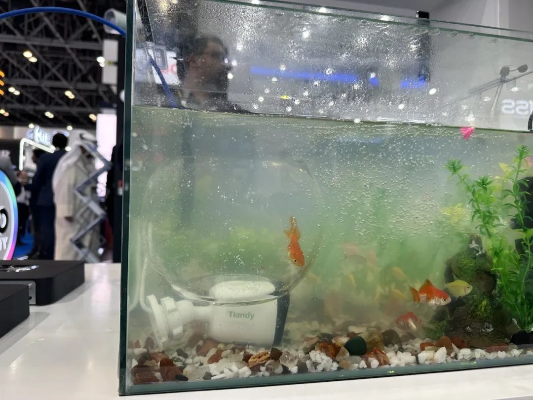 AG旗舰厅(中国游)官方网站