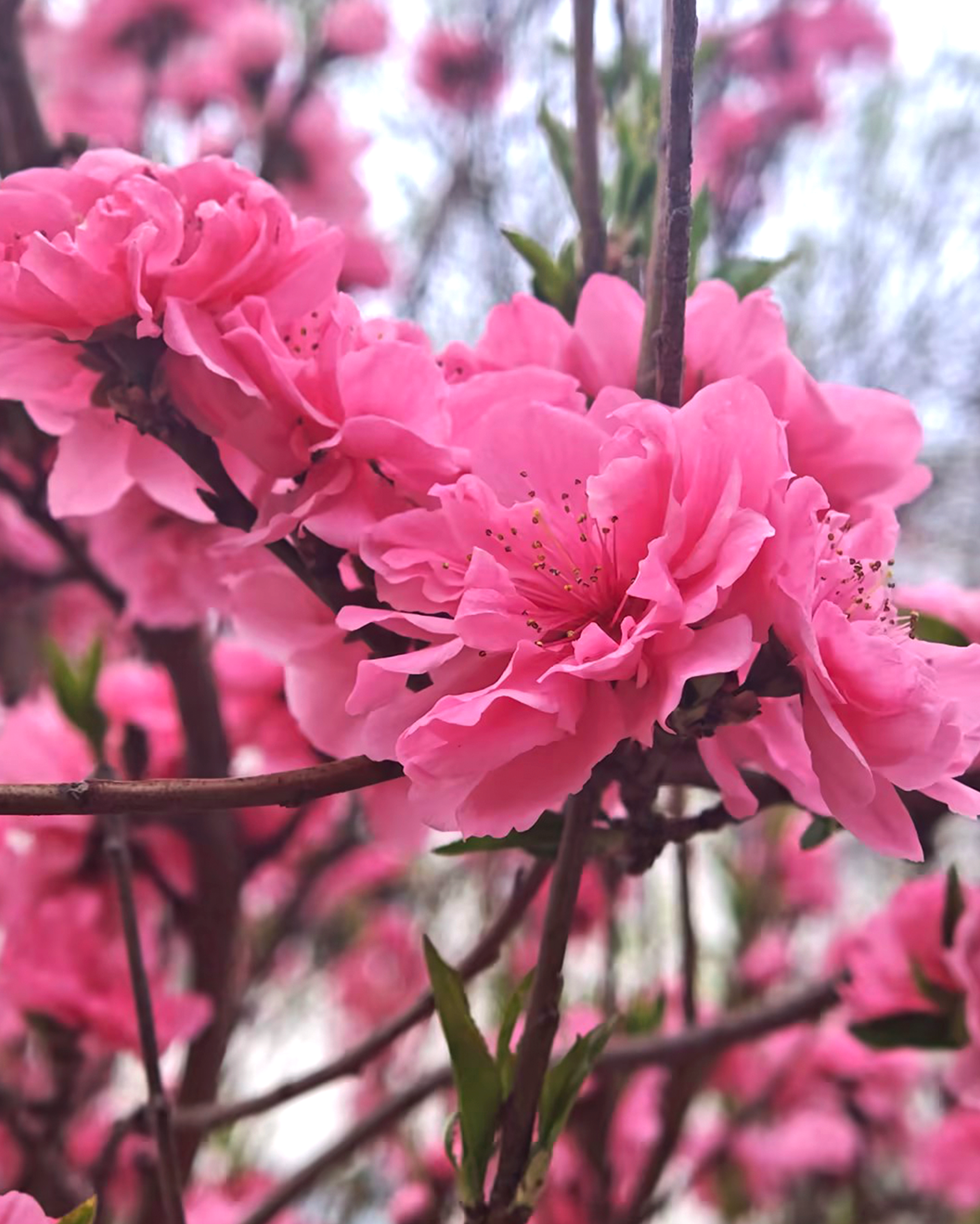 AG旗舰厅(中国游)官方网站