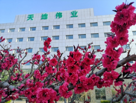 AG旗舰厅(中国游)官方网站