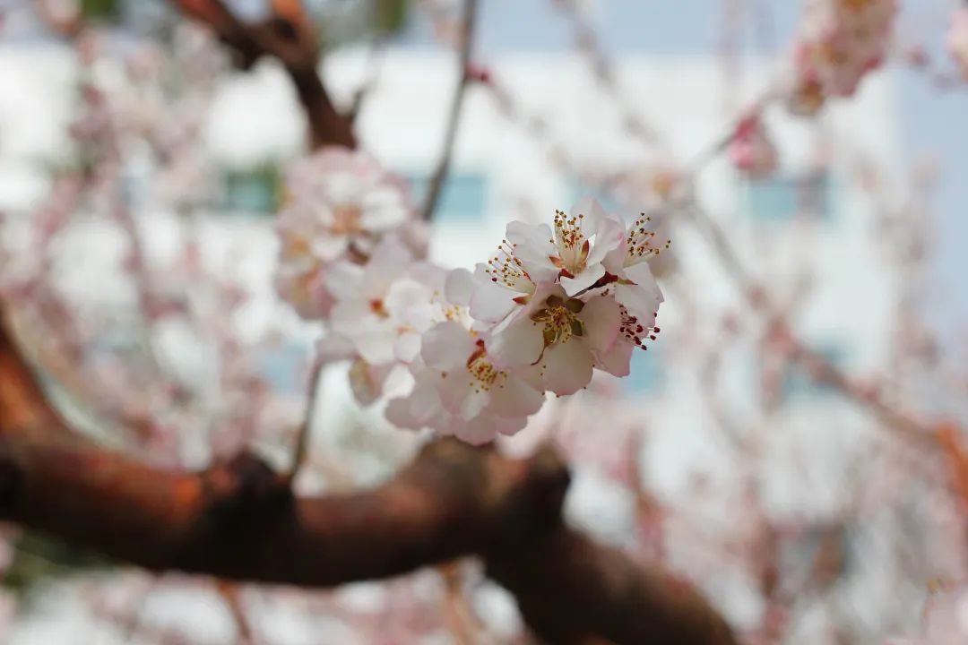 AG旗舰厅(中国游)官方网站