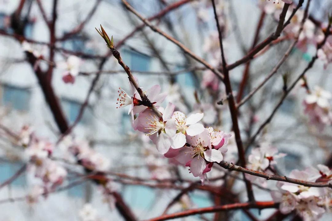 AG旗舰厅(中国游)官方网站