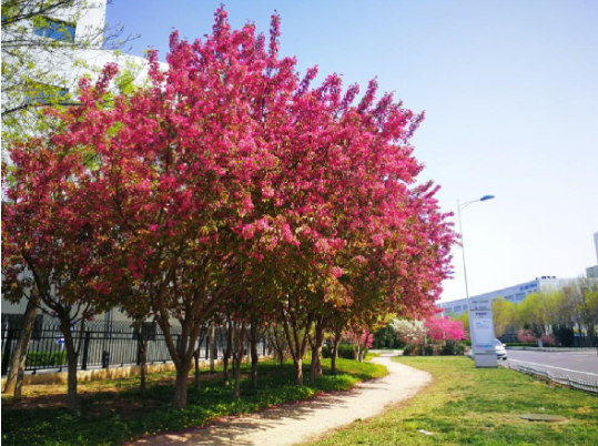 AG旗舰厅(中国游)官方网站