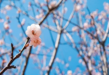 AG旗舰厅(中国游)官方网站